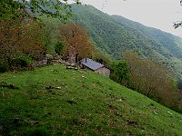 Alpe di Corno (di nuovo in territorio elvetico)  IMG 0900