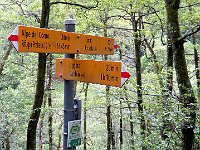 Bivio Q695 Bosco di Remia  IMG 0903