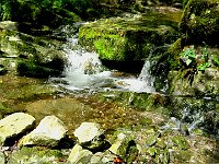 Prendiamo direzione Uggine, si sale un poco e si scendono 30/40mt circa per attraversare un ruscello  IMG 0904