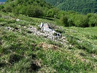 I pochi bolli sbiaditi sono sulle pietre che affiorano  IMG 0939