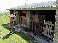 Alpe Mapel 1145mt  IMG 0976