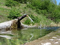 La fontana  IMG 0979