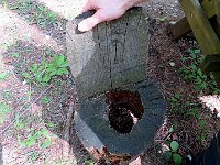 Una comoda artiginale?  IMG 0986