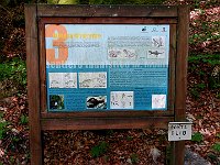 Ponte Elio Q585  IMG 0992