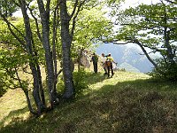 Discesa verso il passo  IMG 1550