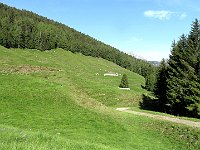 La strada ed al centro l'Alpe  IMG 1061