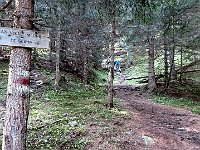 Il sentiero  IMG 1070