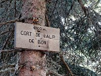 Cort de l'Alp de Bon  IMG 1079