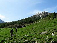 Proseguaimo in terreno aperto verso l' alpe  IMG 1082