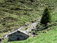 Casetta vicino all' alpe  IMG 1132