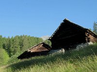 Baite a Pianelli  IMG 1256