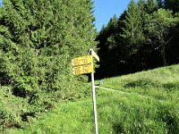 Quasi alla fine del tratto asfaltato inizia il sentiero  IMG 1260