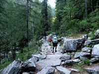 Sentiero spettacolare  IMG 1265