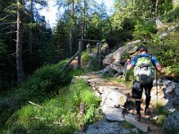 Cancelletto  IMG 1266