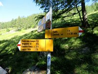 A sinistra per il Passo della Cavegna  IMG 1269