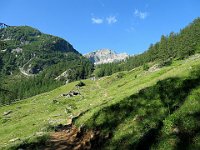 Alpe di Sfii  IMG 1271