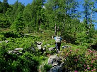 Dopo il ponte altro bivio, a sinistra per il Lago Sfii o Sfille, a destra per il Passo della Cavegna  IMG 1275