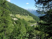 Alpe di Sfii salendo al passo  IMG 1276