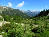 Piano dei Termin  IMG 1281