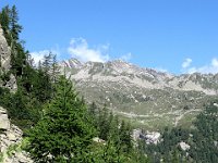 Alpe Cort da Zora (corte superiore dell'Alpe di Sfii)  IMG 1283