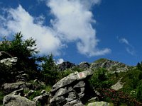 Quasi al lago, si vede la cima  IMG 1288