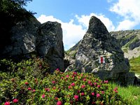 E questo magnifico portale  IMG 1289