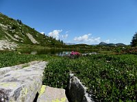 Lago superiore della Cavegna 2040mt  IMG 1296