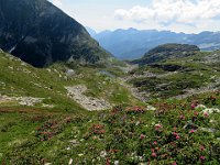 Dalla cresta  IMG 1305