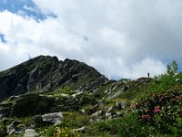 Ora tutto in cresta  IMG 1306