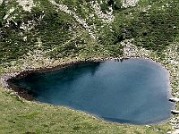 Colori stupendi  IMG 1321