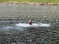 Anche lui due tuffi  IMG 1334