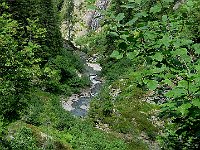 Scendendo verso valle il Ri da Sfii  IMG 1343