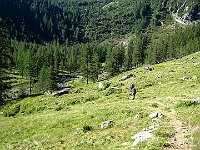 Si sende verso il torrente  IMG 1654