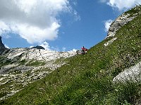 Che spesso si perde nell'erba  IMG 1683