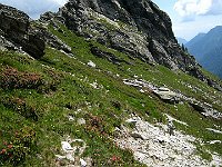 Altra breve salita  IMG 1690