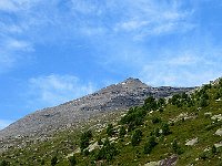 Sembra vicina ...  IMG 1406