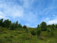 Primo tratto di salita su erba  IMG 1410