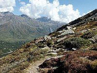 Attorno Q2150 incrociamo il sentiero alto che dal ns parcheggio porta all' Alp de Confin, sopra S.Bernardino (impianti)  CIMG0086