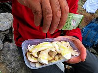 Nei vari strati  IMG 1573