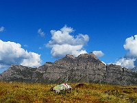 Piz Uccello  IMG 1592