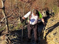 Sentiero per Alpe Colmine (3-barrato)  IMG 0315