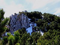 Torniamo verso la Fojorina  IMG 0347