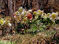 E chiudiamo con questa bella foto. Alla prossima!  IMG 0352