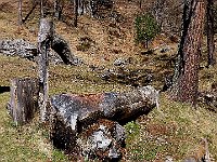 Altro grande pregio, oltre alla totale tranquillità, una bella fontana  IMG 0356