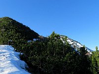 Si pesta neve dura  IMG 2670