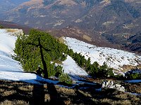 Cima di Fojorina  IMG 2682