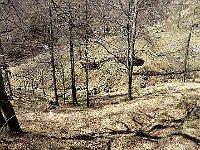 Con perfetto tempismo arriviamo all' Alpe Fiorina  IMG 2732