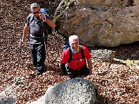 Si nuota nelle foglie di faggio  IMG 2748