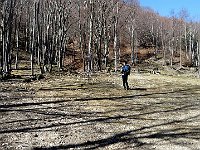 Località Pralungo, si esce dalla Val Solda per tornare in Val Rezzo  IMG 2751