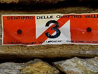 Sentiero 3-barrato che torna a Seghebbia  IMG 2757